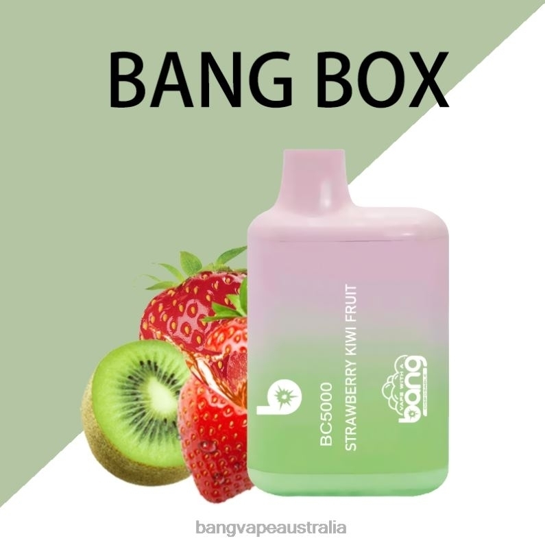 Bang Vape Box BC5000 5% Nic 5000 puffs Pen Type-C Rechargeable 6006N9 Disposable - Bang Vape Price