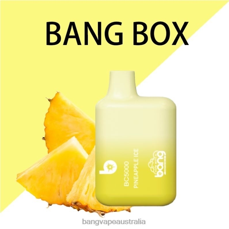 Bang Vape Box BC5000 5% Nic 5000 puffs Pen Type-C Rechargeable 6006N9 Disposable - Bang Vape Price