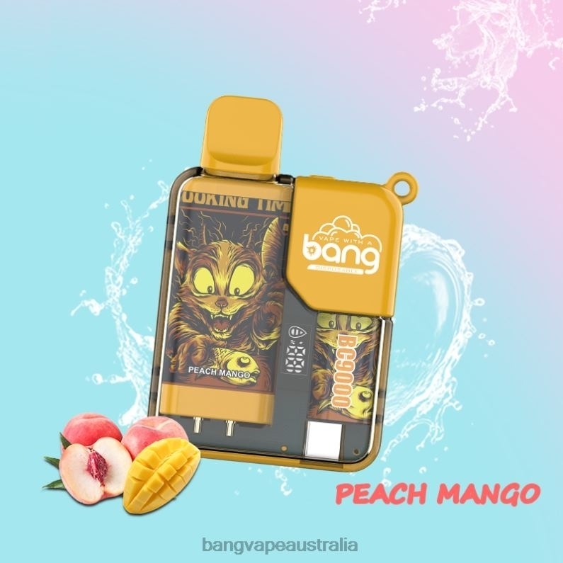 Bang Vape Box BC9000 Prefilled 16ml 6006N6 Disposable - Vape Gang Shop