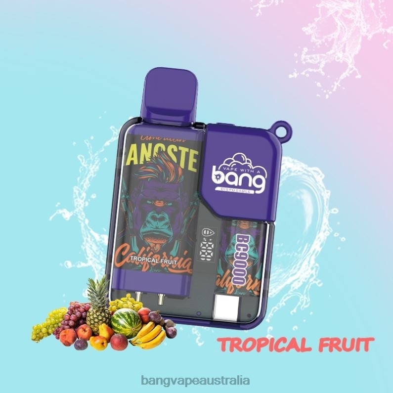 Bang Vape Box BC9000 Prefilled 16ml 6006N6 Disposable - Vape Gang Shop