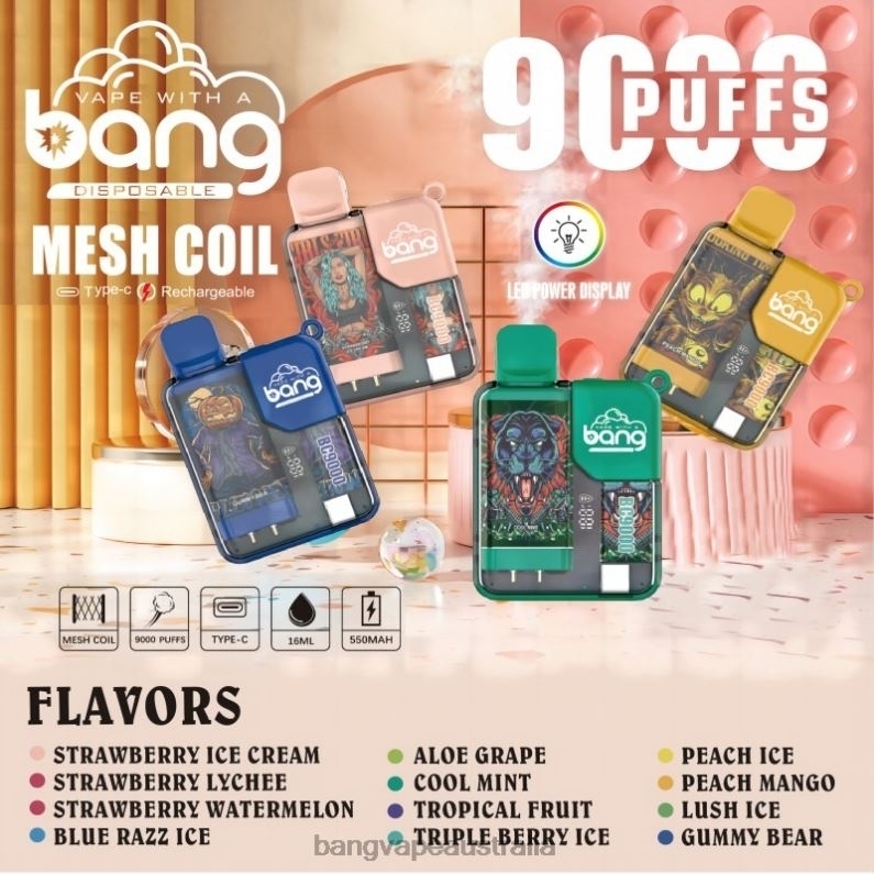 Bang Vape Box BC9000 Prefilled 16ml 6006N6 Disposable - Vape Gang Shop