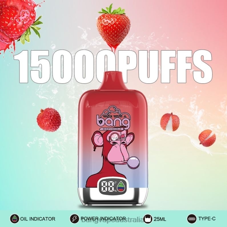 Bang Vape Digital Smart Screen 15000 puffs 25ml 6006N11 Disposable - Vape Gang Australia
