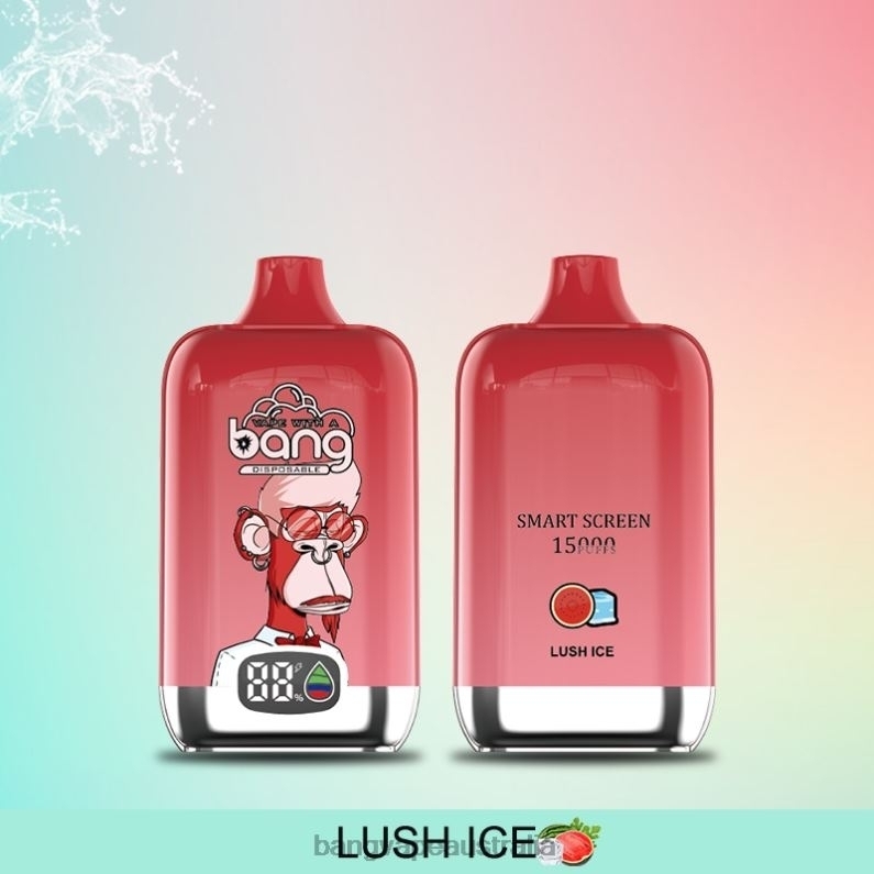 Bang Vape Digital Smart Screen 15000 puffs 25ml 6006N11 Disposable - Vape Gang Australia