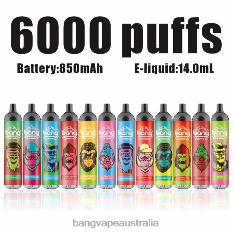 Bang Vape King 6000 puffs 5% Nic Rechargeable Type-C 6006N8 Disposable - Bang Vape Puffs