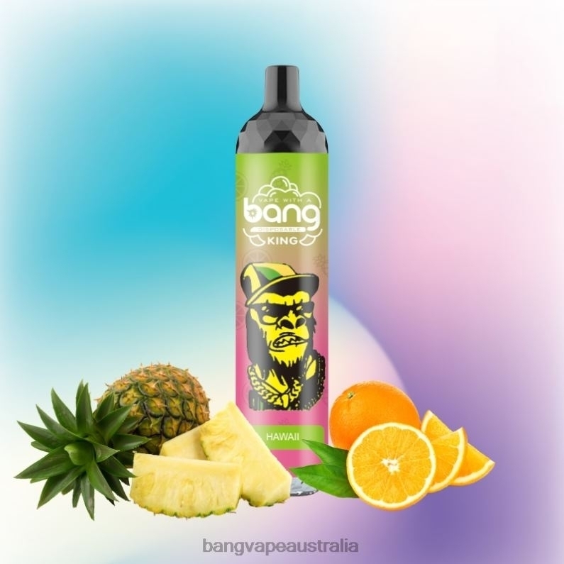 Bang Vape King 6000 puffs 5% Nic Rechargeable Type-C 6006N8 Disposable - Bang Vape Puffs