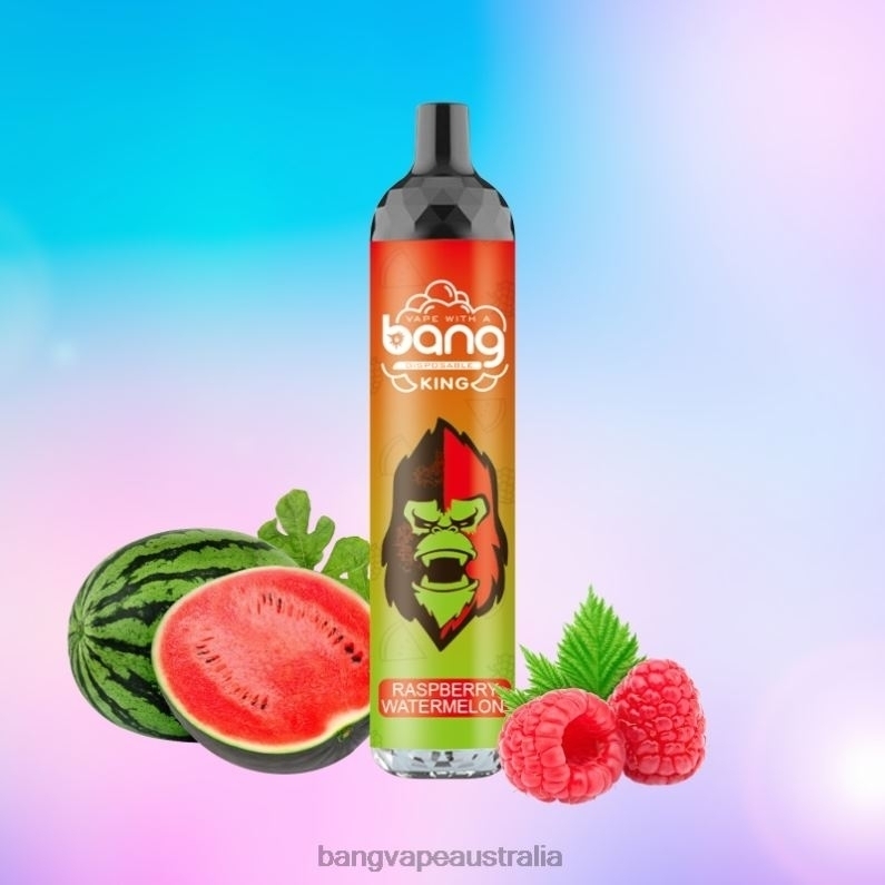 Bang Vape King 6000 puffs 5% Nic Rechargeable Type-C 6006N8 Disposable - Bang Vape Puffs