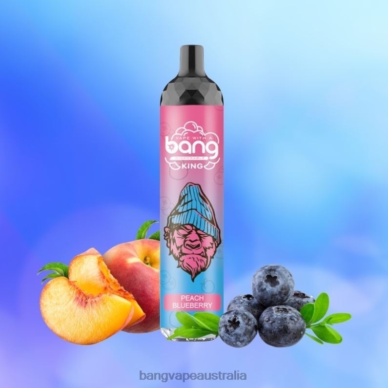 Bang Vape King 6000 puffs 5% Nic Rechargeable Type-C 6006N8 Disposable - Bang Vape Puffs