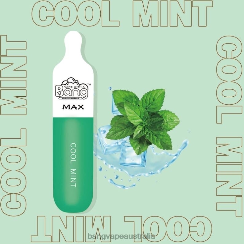 Bang Vape Max 5000 Puff Bar 6006N10 Disposable - Gang Vape Price