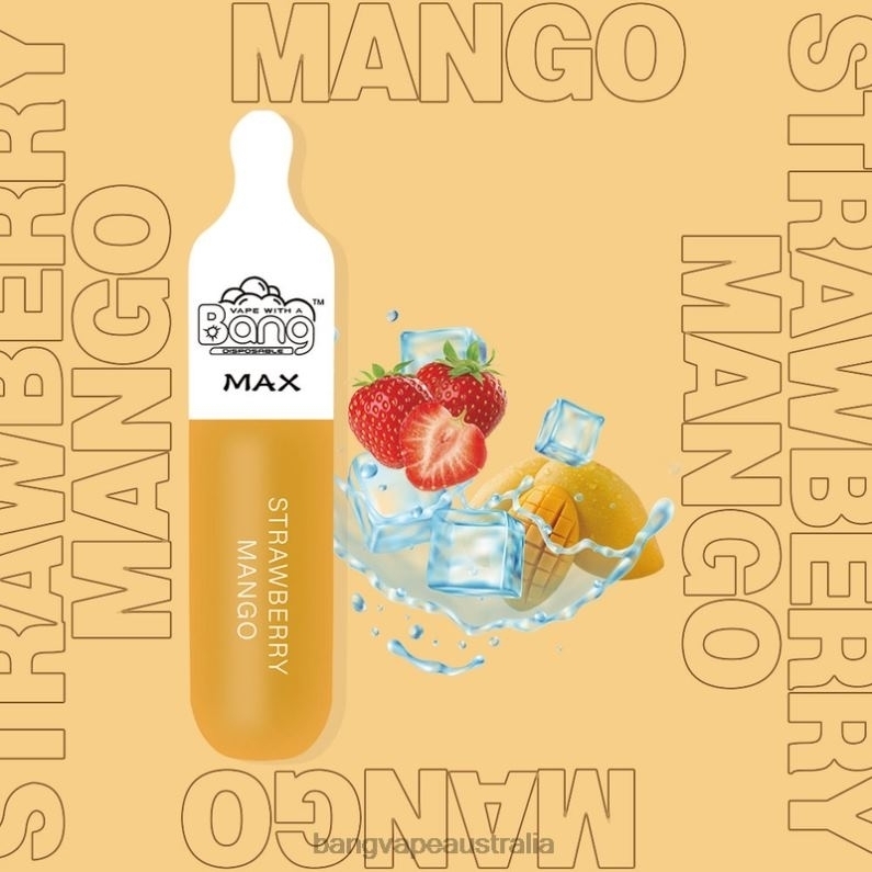 Bang Vape Max 5000 Puff Bar 6006N10 Disposable - Gang Vape Price