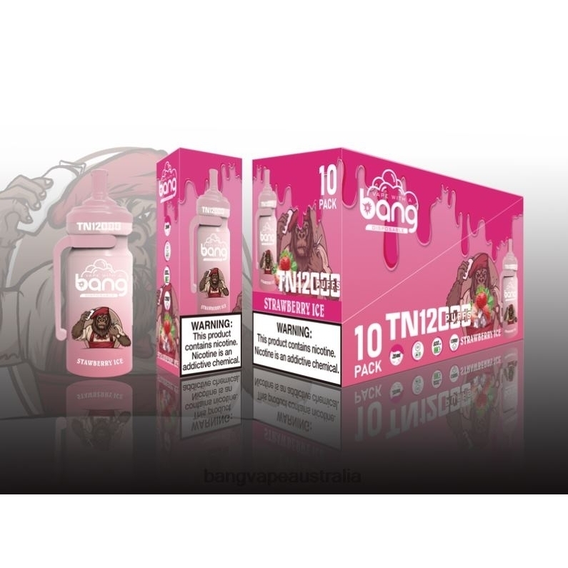 Bang Vape TN12000 Pod with Mesh Coil 6006N5 Disposable - Vape Gang Melbourne