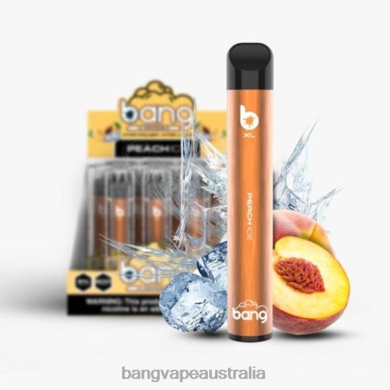 Bang Vape XL Disposable 6006N33 Peach Ice - Vape Gang Disposables