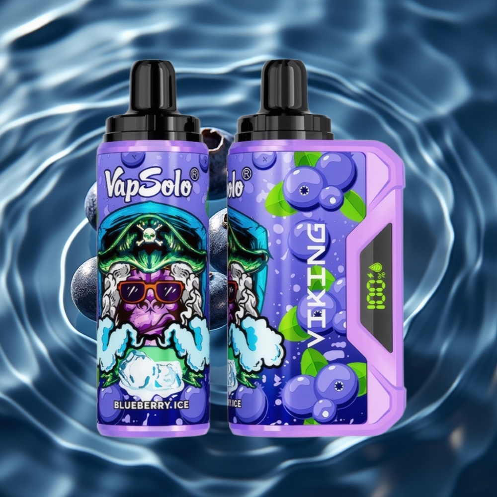 VapSolo VIKING 12000 Puffs 22ml Disposable Vape Blueberry with LED Display & Type-C