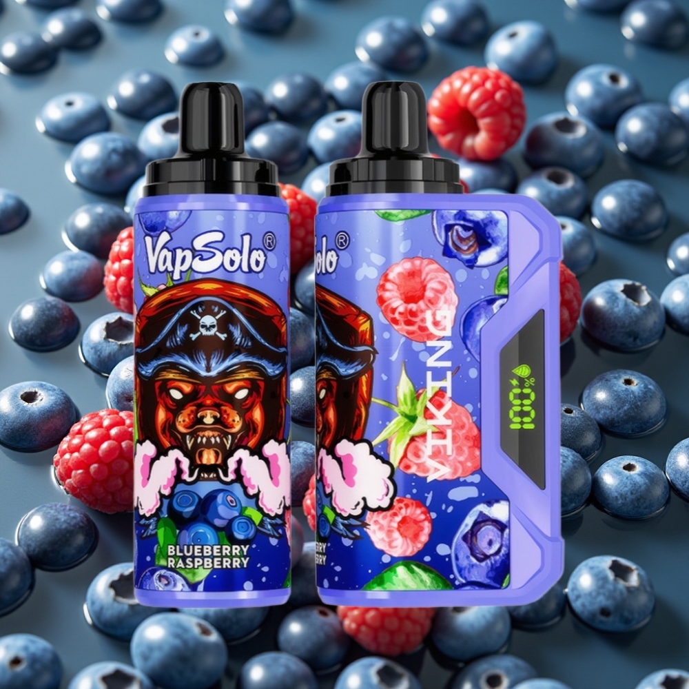VapSolo VIKING 12000 Puffs Disposable Vape Blueberry Raspberry 22ml LED Type-C