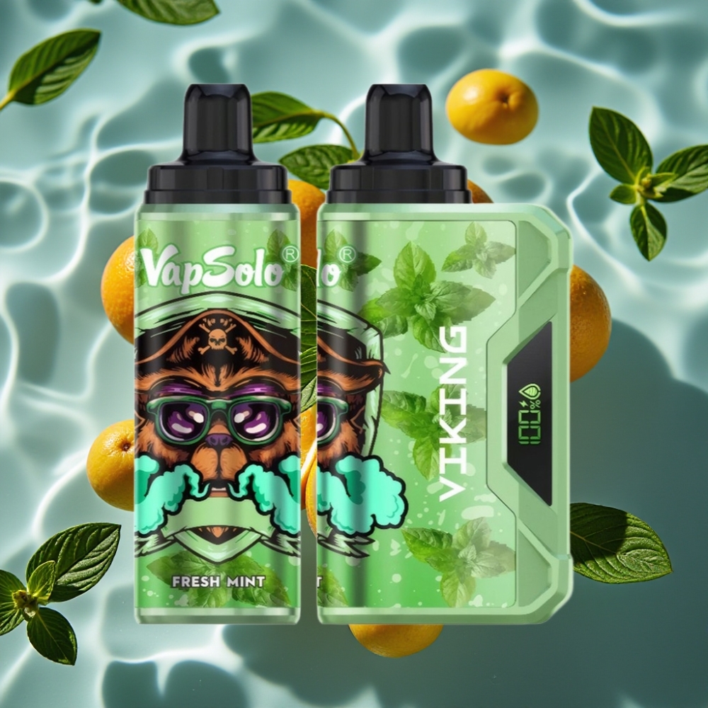 VapSolo VIKING 12000 Puffs Disposable Vape Fresh Mint – 22ml E-Liquid, Type-C Charging, LED Display