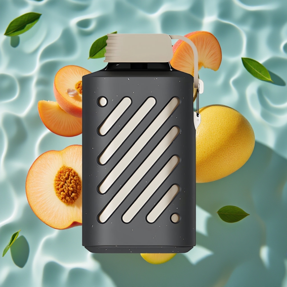 VOZOL GEAR 10000 Disposable Vape Peach Mango Smoothie - 10000 Puffs, 20ml E-liquid, VAMT Mesh Coil