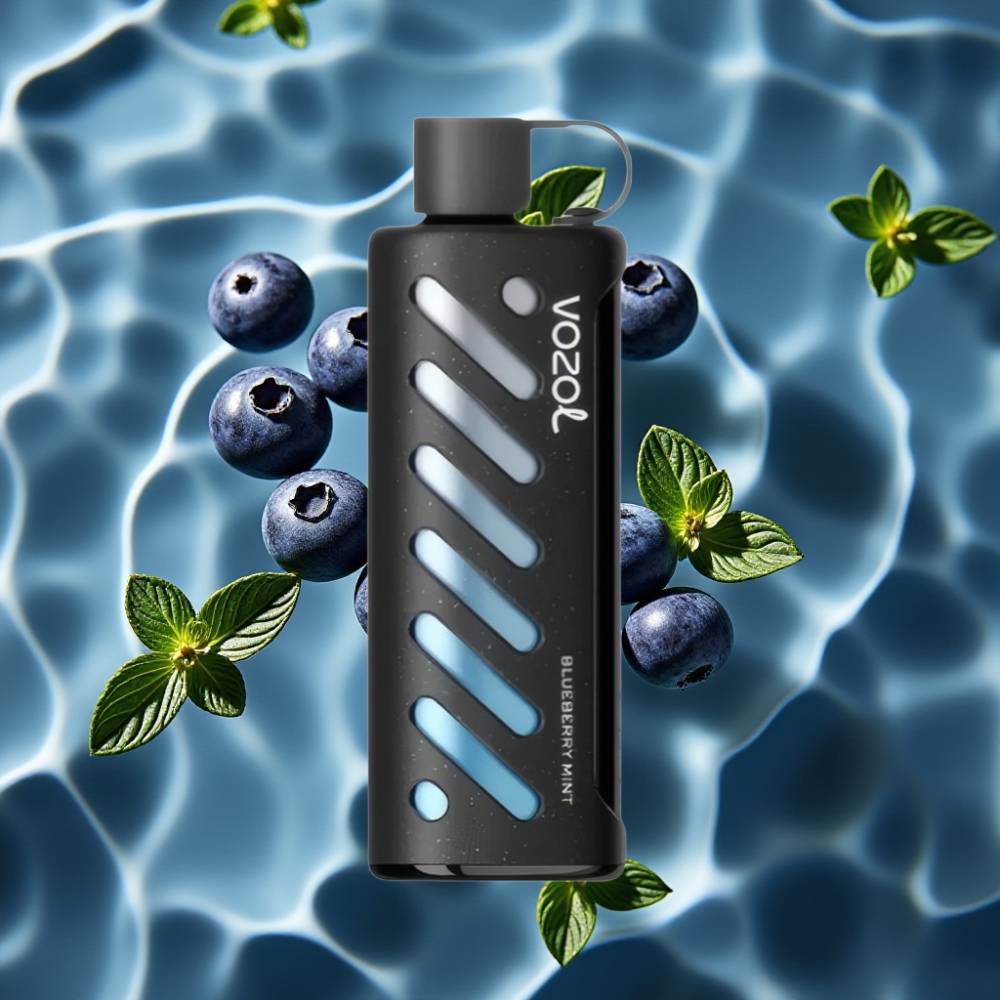 VOZOL Gear Shisha 25000 Puffs Blueberry Mint Disposable Vape with S.i.L.C Tech & Dual Mesh