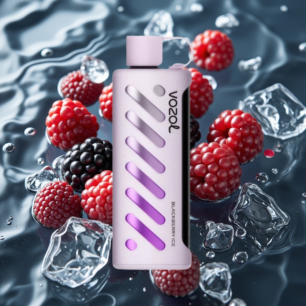 VOZOL Gear Shisha 25000 Puffs Dual Mesh Disposable Vape Blackberry Ice 5mg