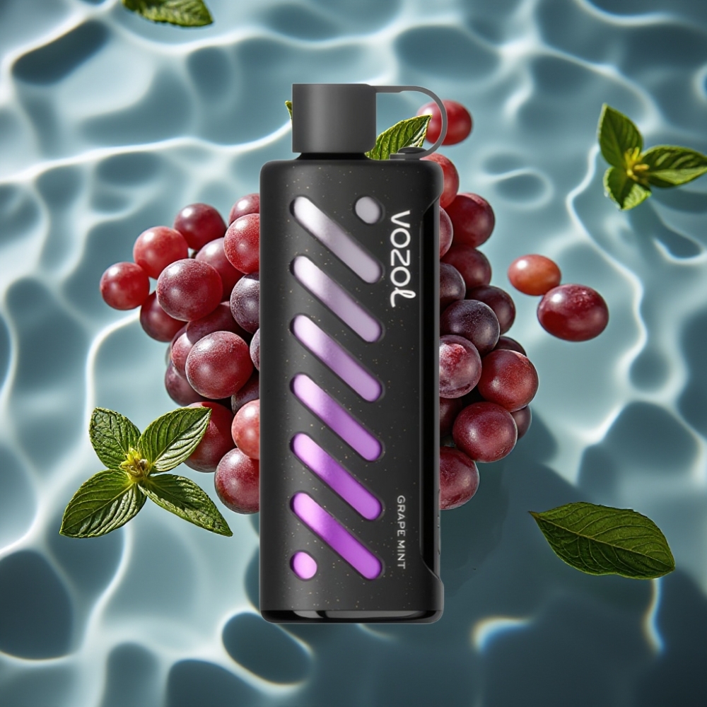 VOZOL Gear Shisha 25000 Puffs Dual Mesh Grape Mint Disposable Vape with S.i.L.C Tech