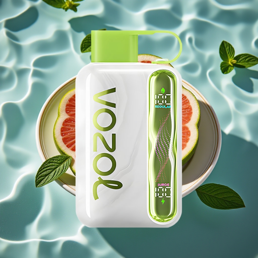 VOZOL STAR 40000 Puffs Cool Mint Disposable Vape - 1000mAh Battery, Type-C Charging, 20/50mg/ml Nicotine