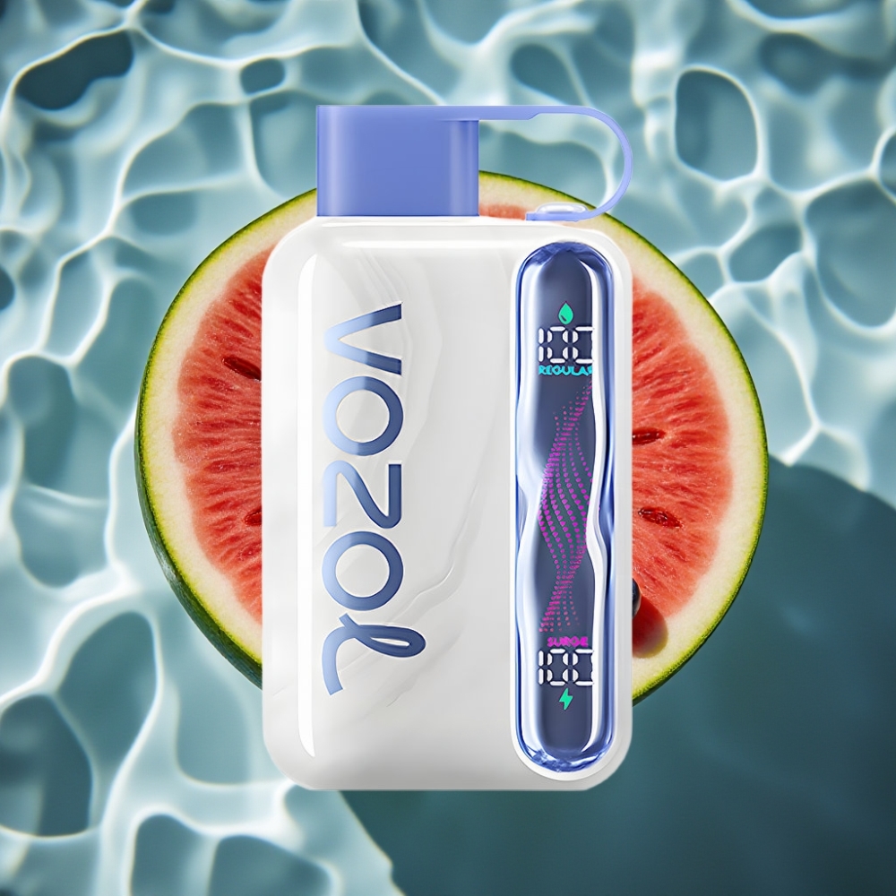 VOZOL STAR 40000 Puffs Disposable Vape 1000mAh Type-C Blueberry Watermelon 20/50mg