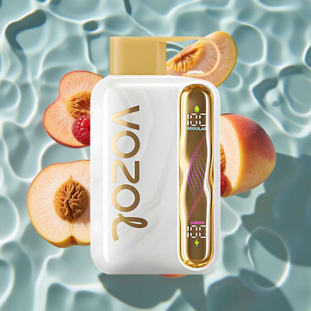 VOZOL STAR 40000 Puffs Disposable Vape 1000mAh Type-C White Peach Raspberry 20/50mg