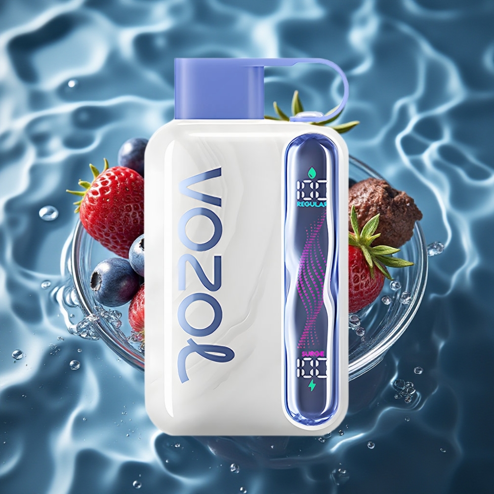 VOZOL STAR 40000 Puffs Disposable Vape Blueberry Ice 1000mAh Type-C 20/50mg/ml