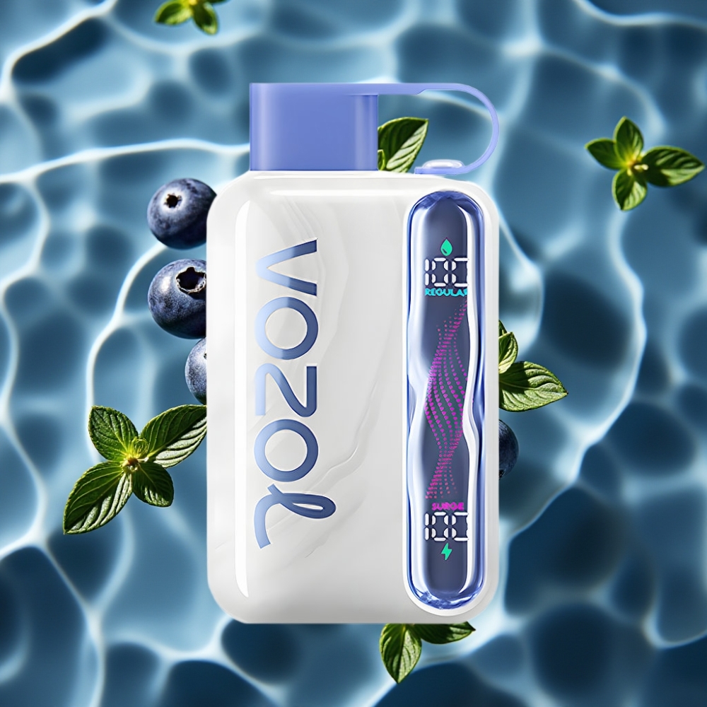 VOZOL STAR 40000 Puffs Disposable Vape Blueberry Mint 1000mAh Type-C 20/50mg/ml
