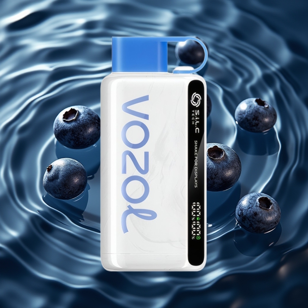 VOZOL STAR 9000/12000 Disposable Vape Blueberry Storm - 650mAh, 30% Faster Charge, Recycled Plastic