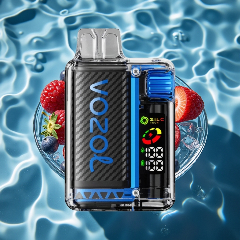 VOZOL Vista 20000 Puffs Rechargeable Disposable Vape with 650mAh Battery, 2% Nicotine, Blue Razz Ice, OLED Screen, MCU Chip
