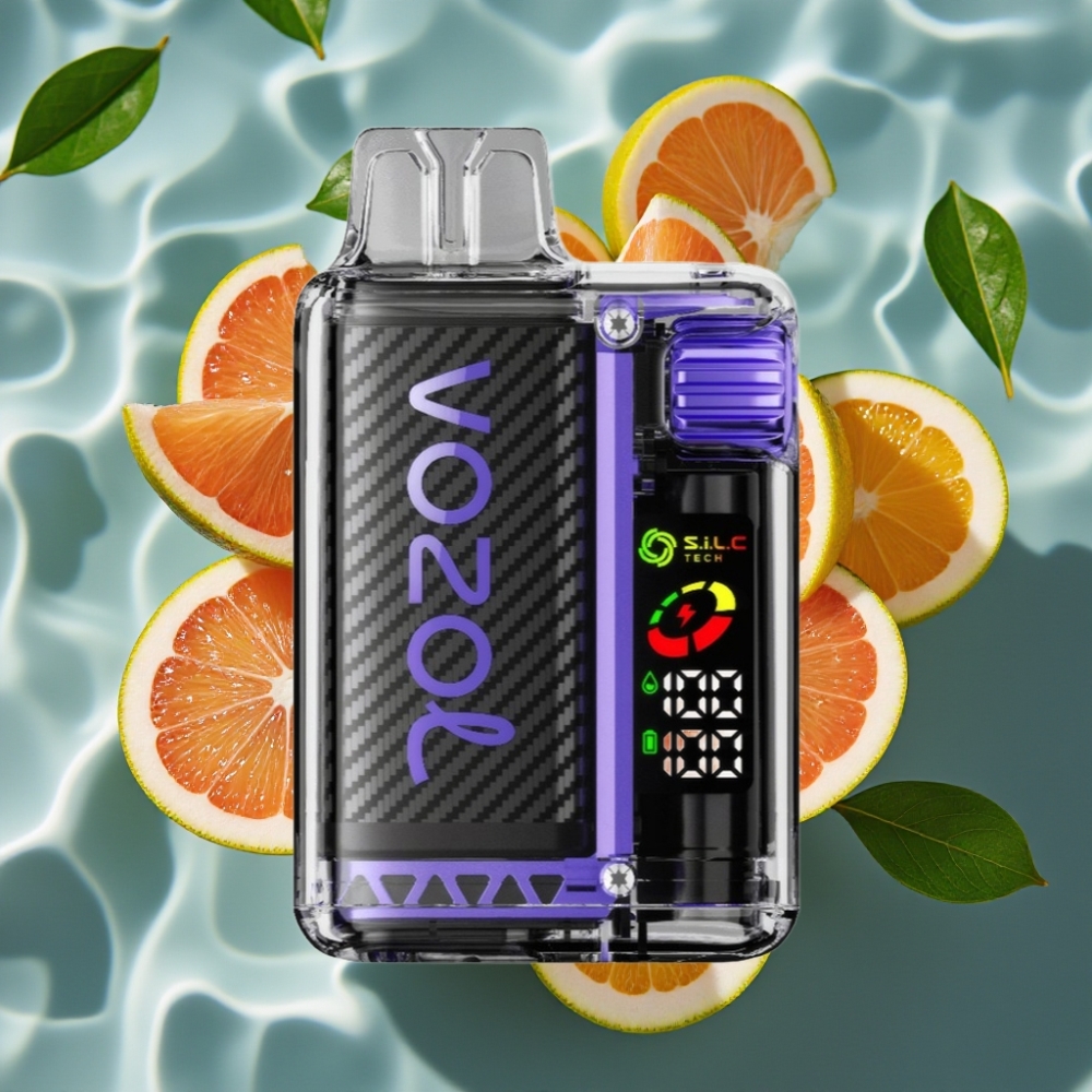 VOZOL Vista 20000 Puffs Rechargeable Disposable Vape with OLED Screen, 650mAh Battery, 2% Nicotine, Elderflower Grapefruit Flavor