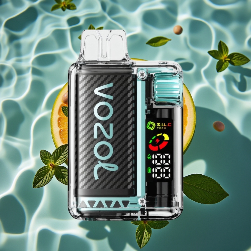 VOZOL Vista 20000 Puffs Rechargeable Disposable Vape with OLED Screen & Miami Mint Flavor