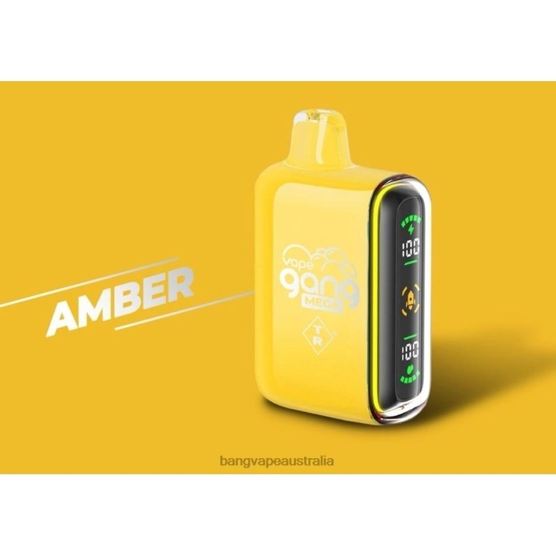 Vape Gang MEGA 20,000 puffs Disposable Vape (Box of 5) 6006N50 Amber - Gang Vape Price