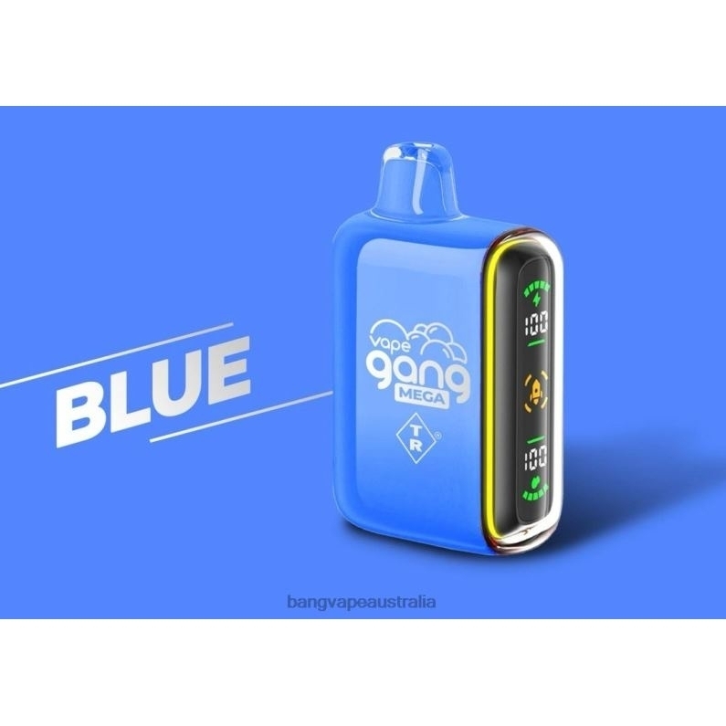 Vape Gang MEGA 20,000 puffs Disposable Vape (Box of 5) 6006N52 Blue - Vape Gang Australia