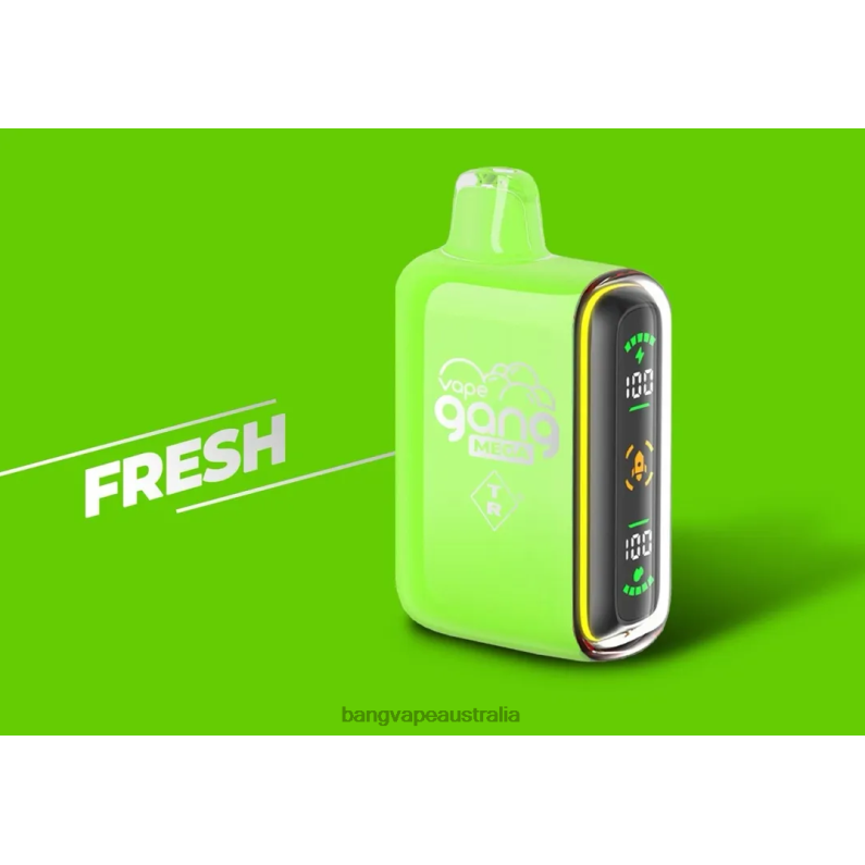 Vape Gang MEGA 20,000 puffs Disposable Vape (Box of 5) 6006N53 Fresh - Bang Vape Australia