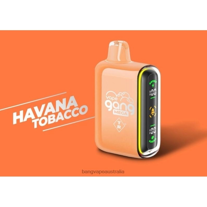 Vape Gang MEGA 20,000 puffs Disposable Vape (Box of 5) 6006N55 Havana Tobacco - Vape Gang Disposables