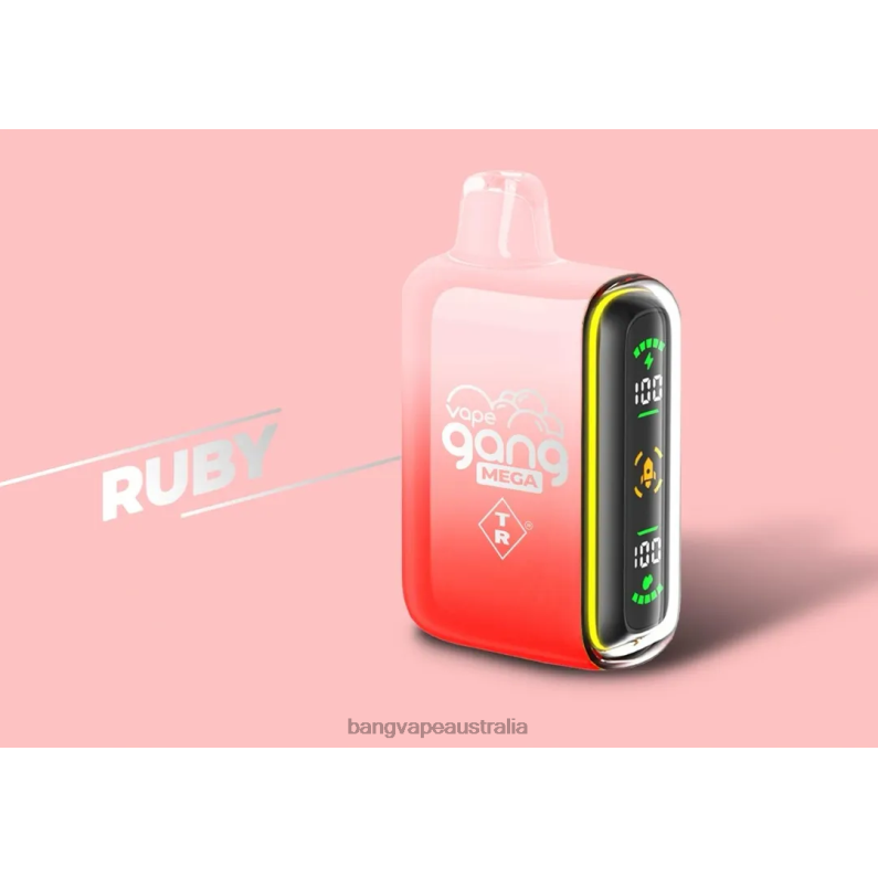 Vape Gang MEGA 20,000 puffs Disposable Vape (Box of 5) 6006N58 Ruby - Vape Gang Shop