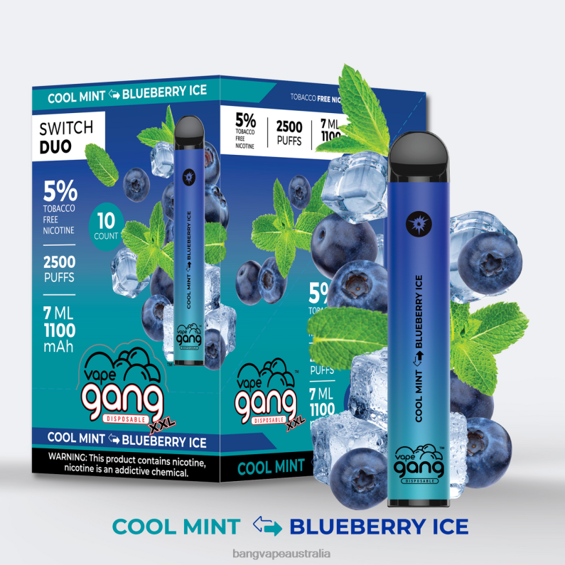 Vape Gang Switch Duo 2 flavors (Box of 10) 6006N43 Cool Mint - Blueberry Ice - Vape Gang Disposables