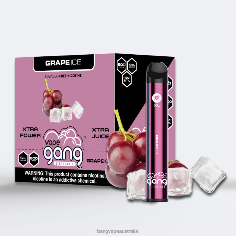 Vape Gang XL Disposable Vapes 600 puffs (Box of 10) 6006N62 Grape Ice - Gang Vape Price