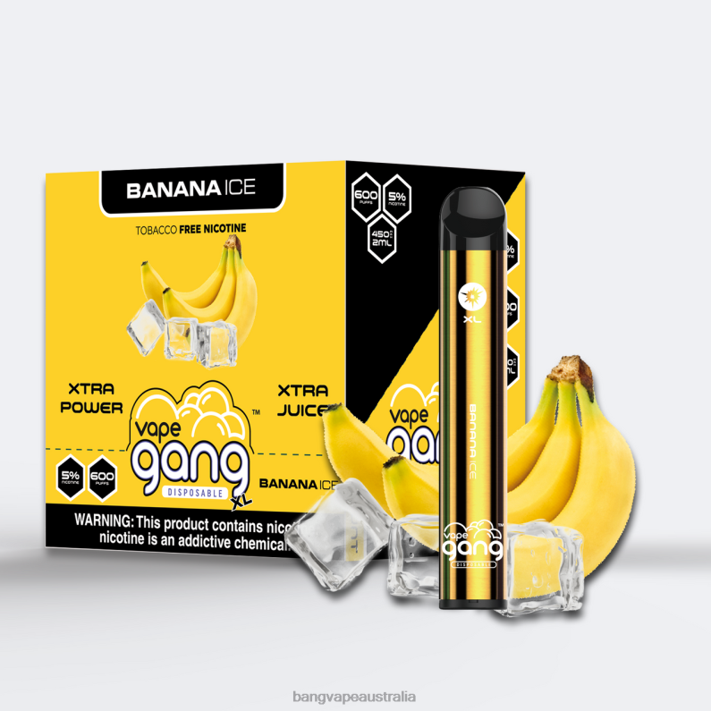 Vape Gang XL Disposable Vapes 600 puffs (Box of 10) 6006N63 Banana Ice - Vape Gang Australia