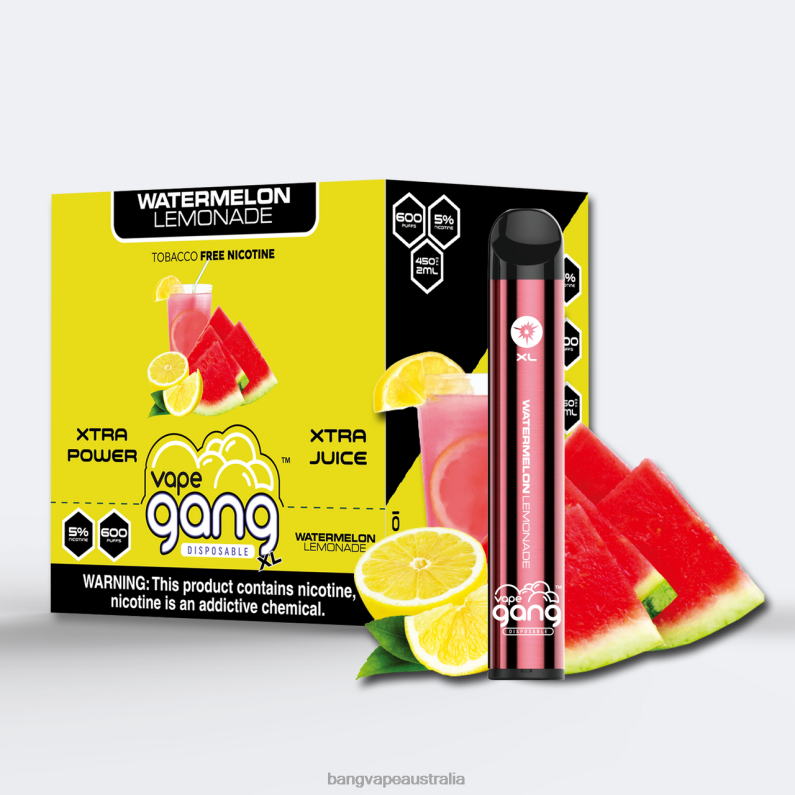 Vape Gang XL Disposable Vapes 600 puffs (Box of 10) 6006N65 Watermelon Lemonade - Vape Gang Disposables
