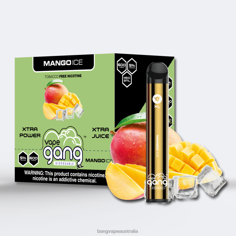 Vape Gang XL Disposable Vapes 600 puffs (Box of 10) 6006N68 Mango Ice - Vape Gang Shop
