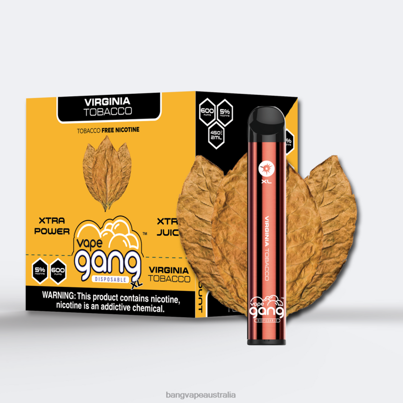 Vape Gang XL Disposable Vapes 600 puffs (Box of 10) 6006N70 Virginia Tobacco - Bang Vape Puffs