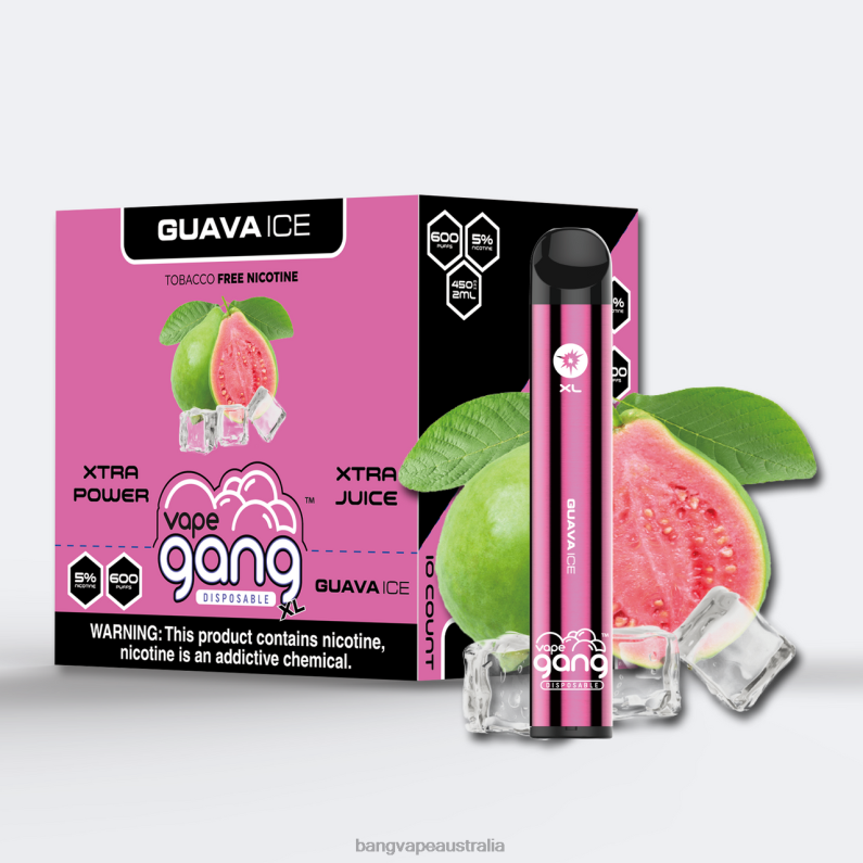 Vape Gang XL Disposable Vapes 600 puffs (Box of 10) 6006N72 Guava Ice - Gang Vape Price