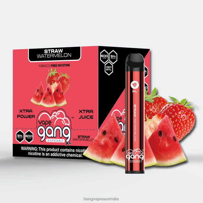 Vape Gang XL Disposable Vapes 600 puffs (Box of 10) 6006N74 Straw Watermelon - Bang Vape Australia