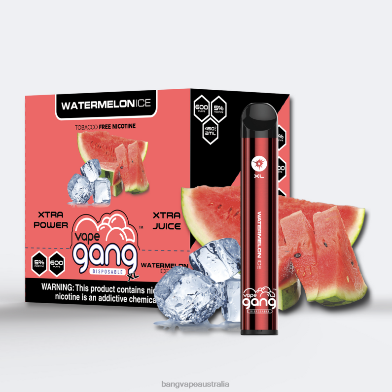 Vape Gang XL Disposable Vapes 600 puffs (Box of 10) 6006N76 Watermelon Ice - Vape Gang Sydney