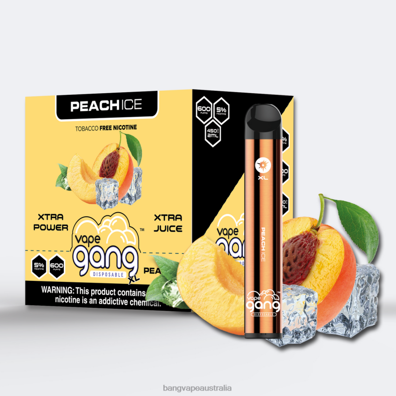 Vape Gang XL Disposable Vapes 600 puffs (Box of 10) 6006N77 Peach Ice - Vape Gang Melbourne