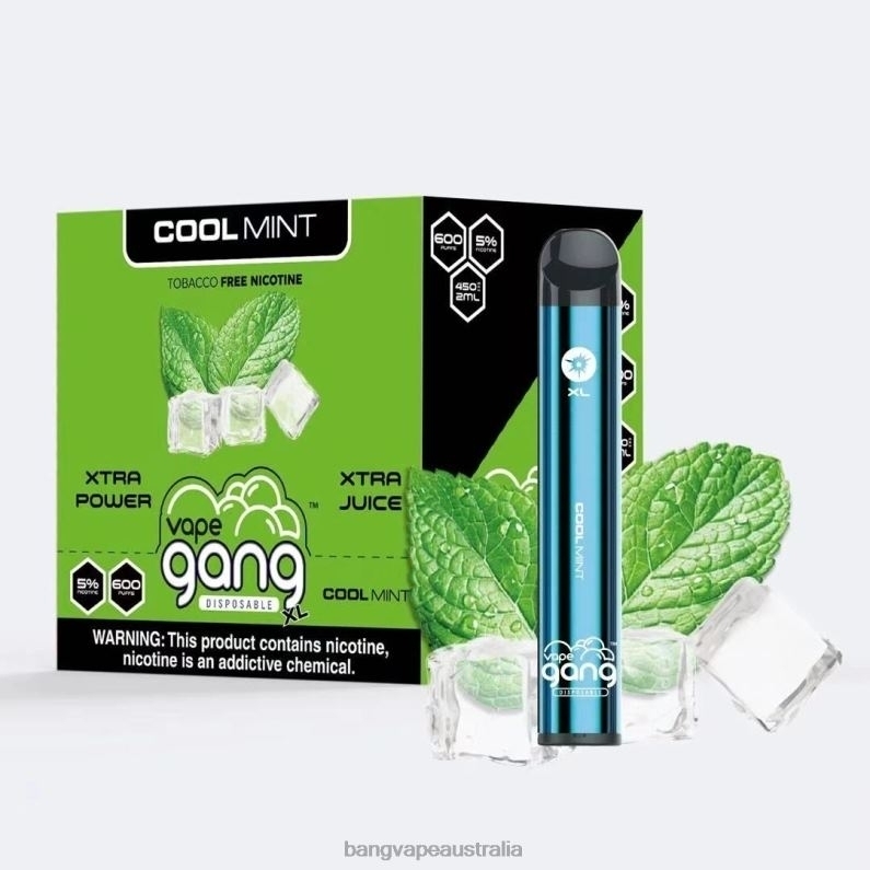 Vape Gang XL Disposable Vapes 600 puffs (Box of 10) 6006N79 Cool Mint - Vape Gang Flavors
